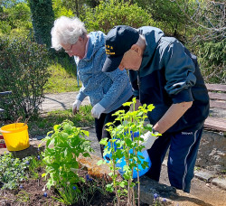 Unser Therapiegarten ist erwacht
